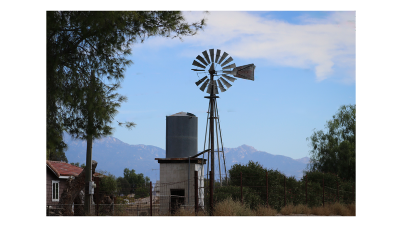 Windmill 3