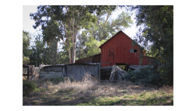 Farm Pictures