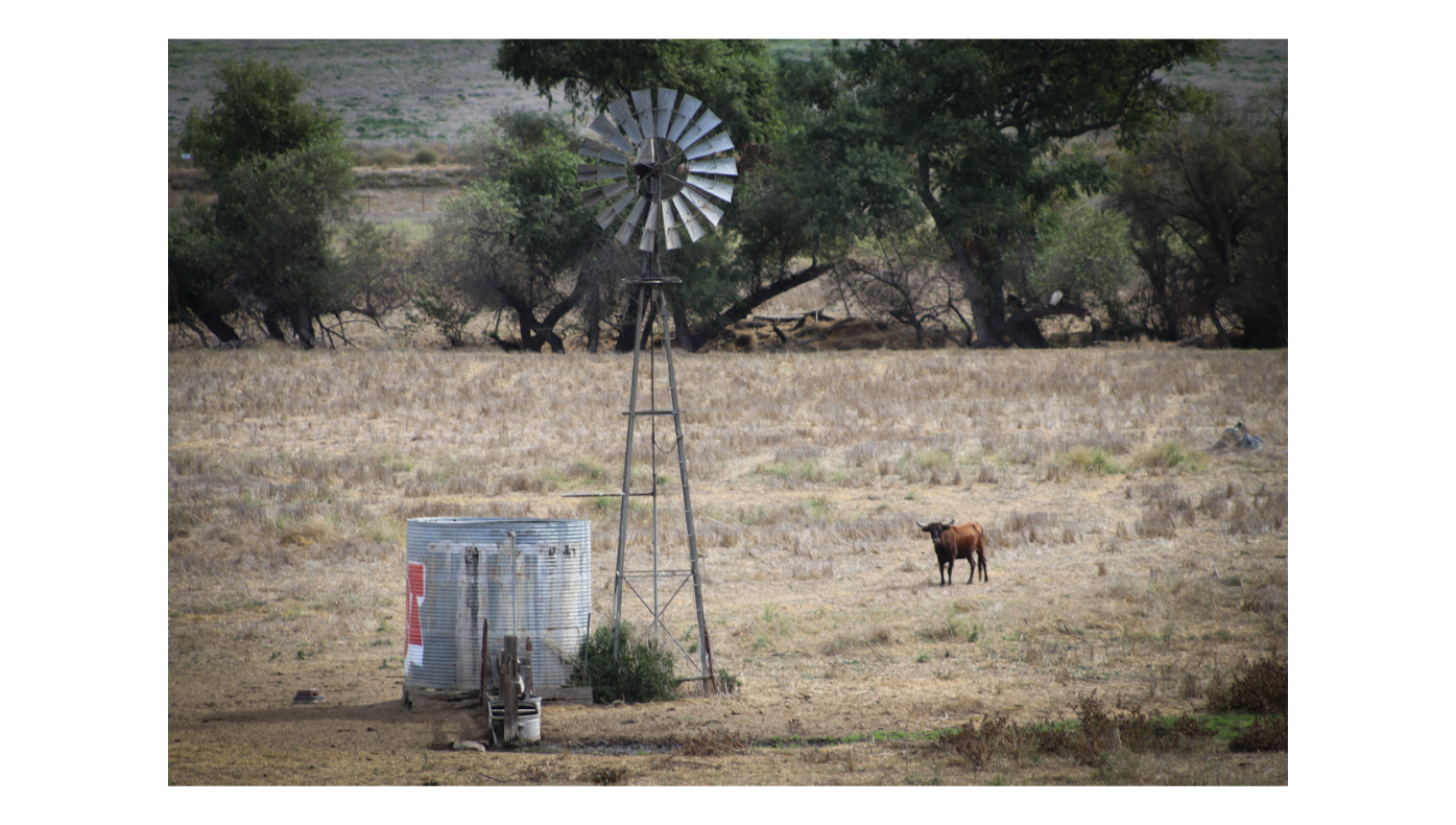 Windmill 1