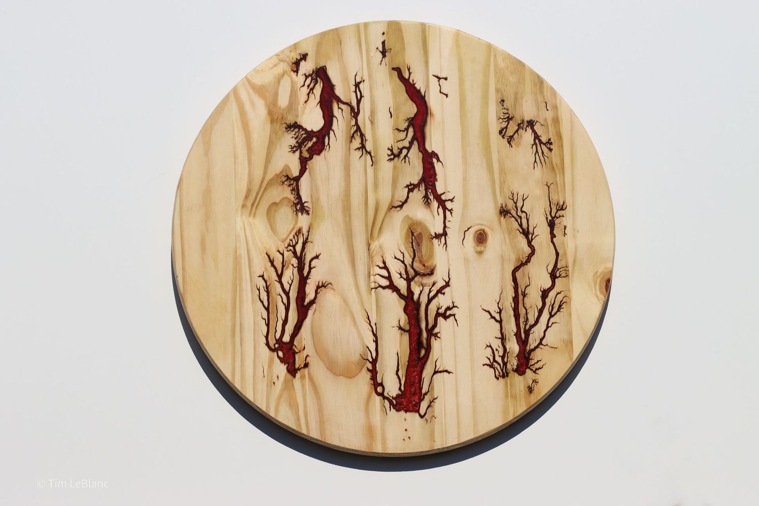 24" Lichtenberg Original Art