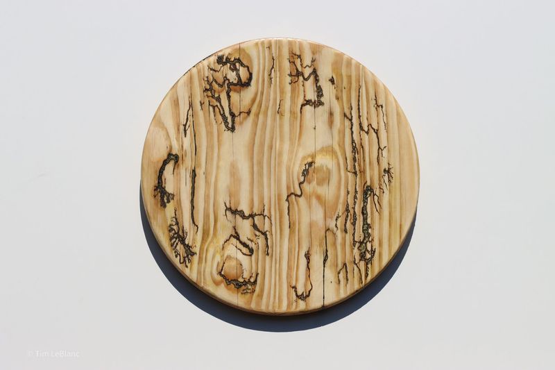 Black and Gold Lichtenberg Original