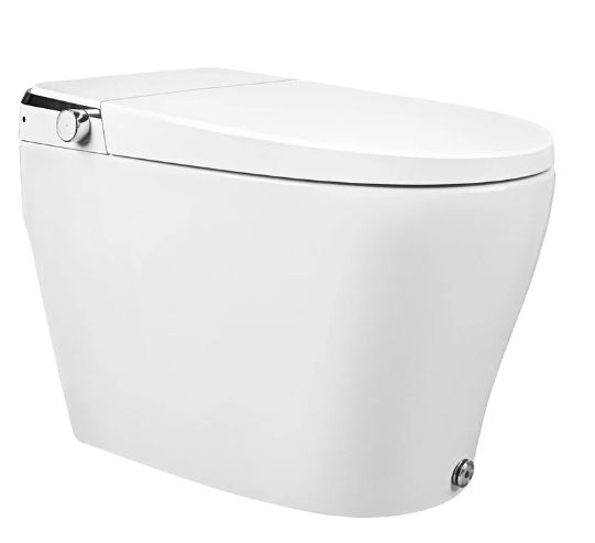 DeerValley Smart Toilet, One-Piece Elongated Smart Toilet with Foot Kick Flush (Seat Included)