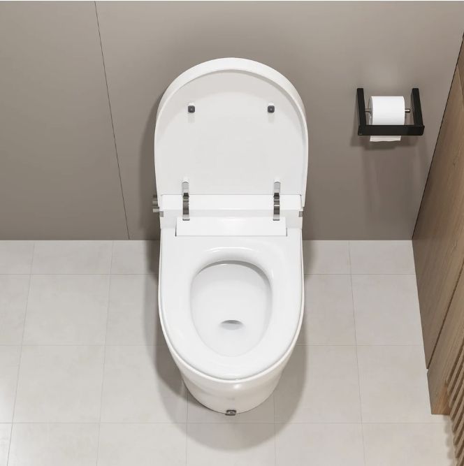 DeerValley Smart Toilet, One-Piece Elongated Smart Toilet with Foot Kick Flush (Seat Included)