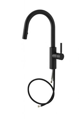 Corsano Professional Pull-Down Kitchen Faucet