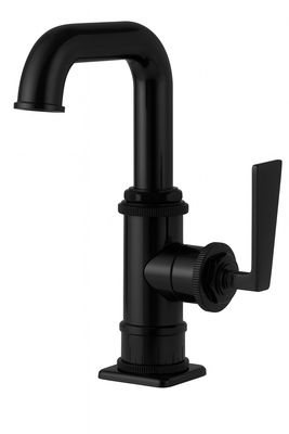 Steampunk Bay Single Hole Low Spout Lavatory Faucet