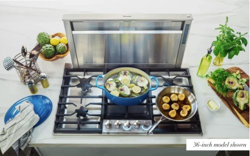 30&quot; CONVERTABLE DOWNDRAFT