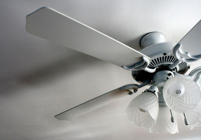 Ceiling Fans