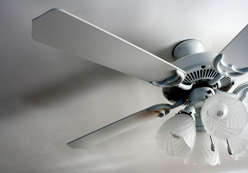 CEILING FANS