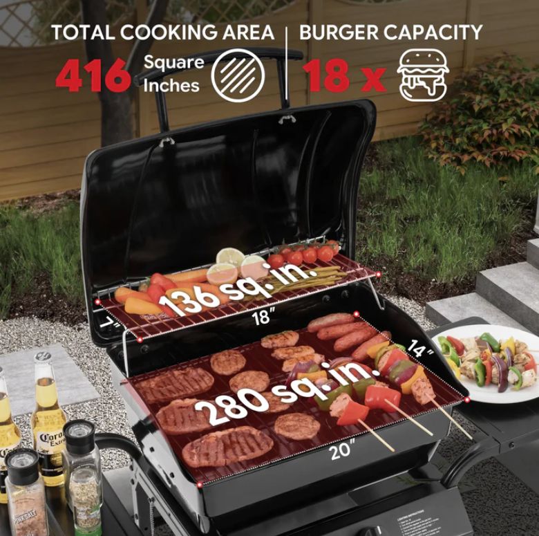 Feasto 2-Burner Gas Grill