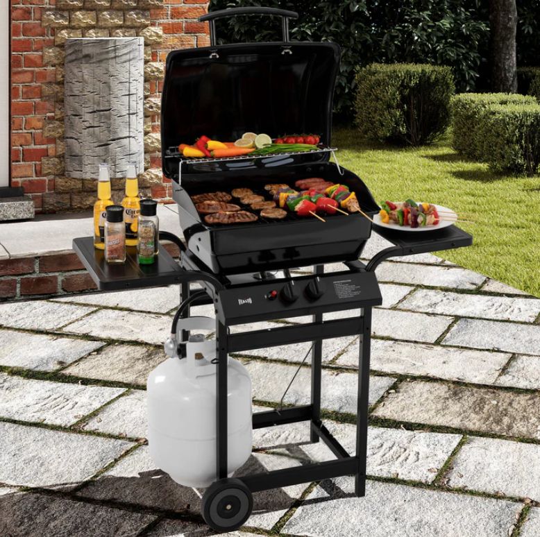 Feasto 2-Burner Gas Grill