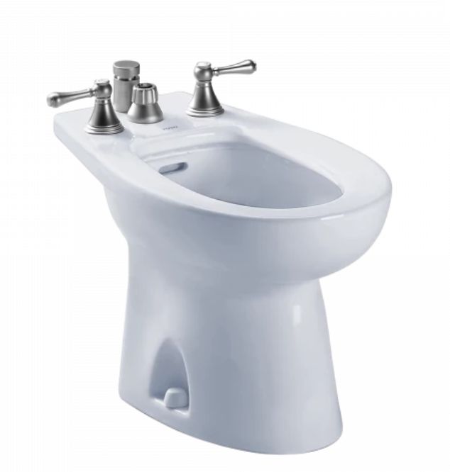 Piedmont Bidet, Vertical Spray