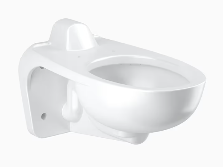 Vitreous China Wall-Mounted Water Closet