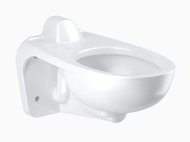 Vitreous China Wall-Mounted Water Closet