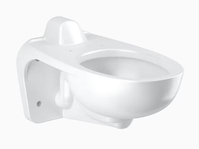 Vitreous China Wall-Mounted Water Closet