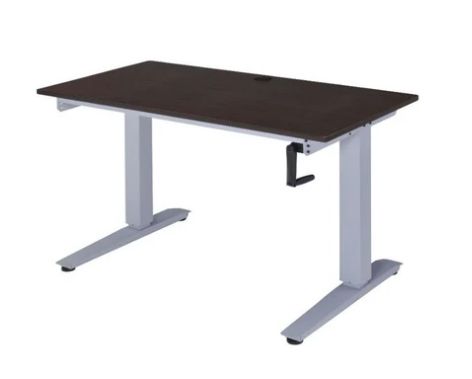 Bliss Adjustable Desk