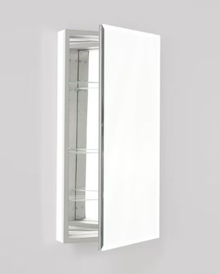 PL Series 19.25-in x 30-in Surface Mount Black Mirrored Rectangle Medicine Cabinet