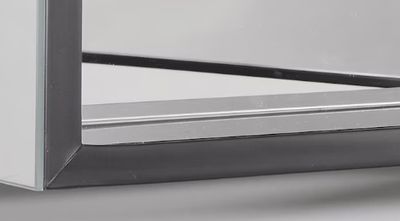 PL Series 19.25-in x 30-in Surface Mount Black Mirrored Rectangle Medicine Cabinet