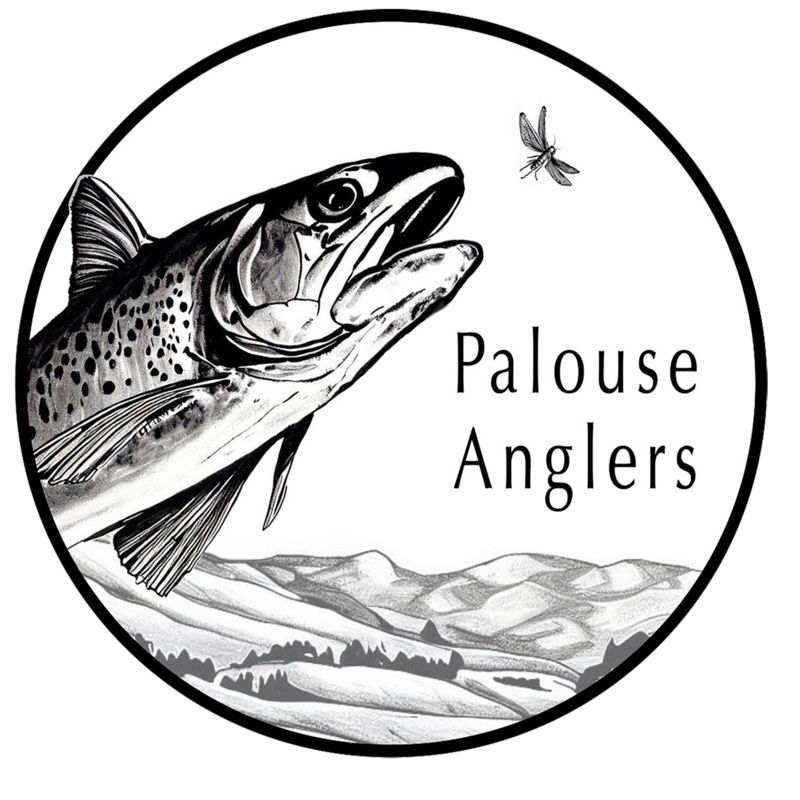 Logo Sticker