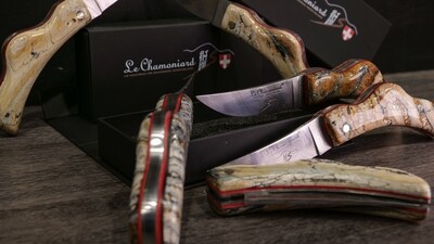 Collection dent de mammouth
