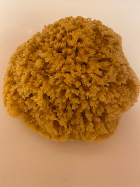 Natural Sea Sponge for the body