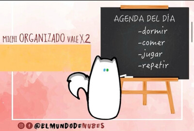Colección “MICHI ORGANIZADO”