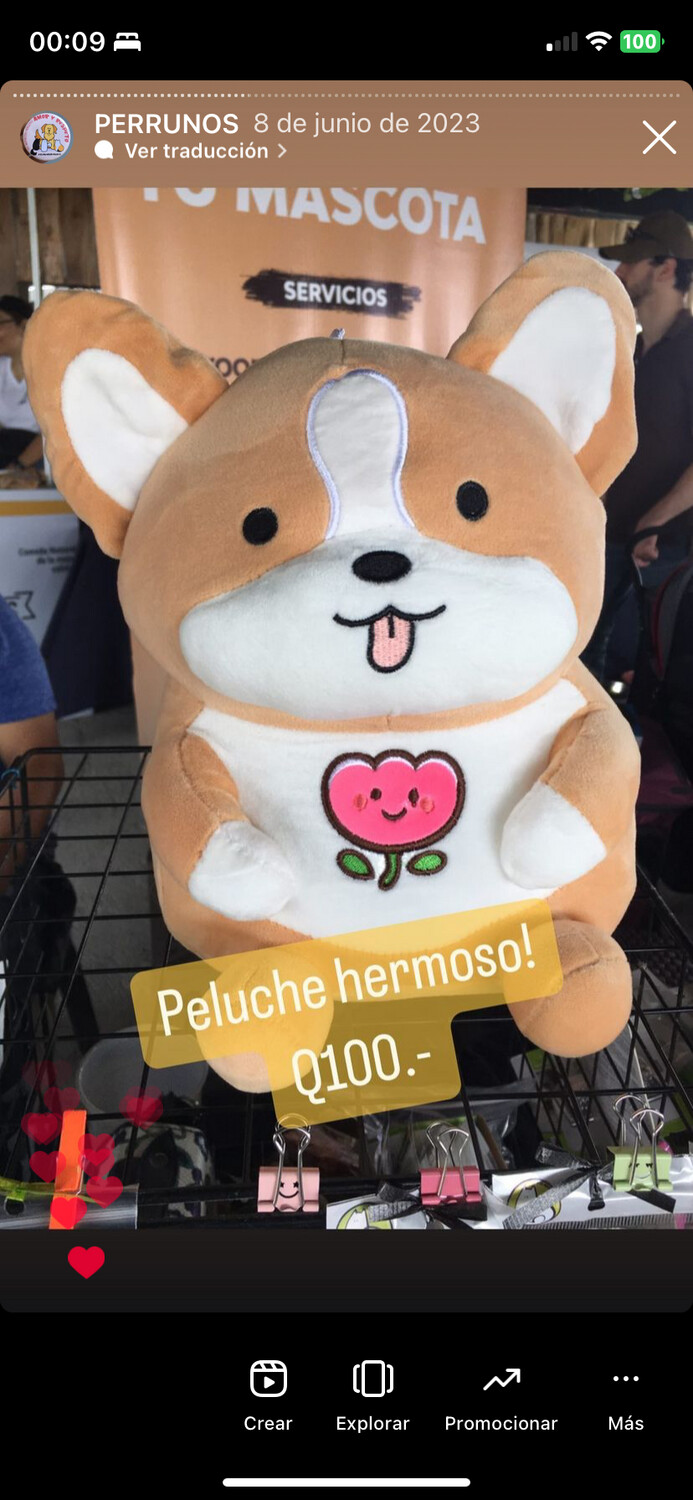 Peluche “corgi”