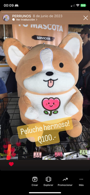 Peluche “corgi”