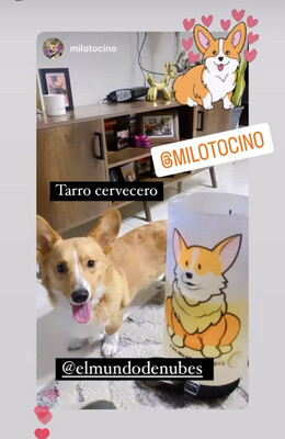 Tarro “It’s not drinking alone if the DOG is home”