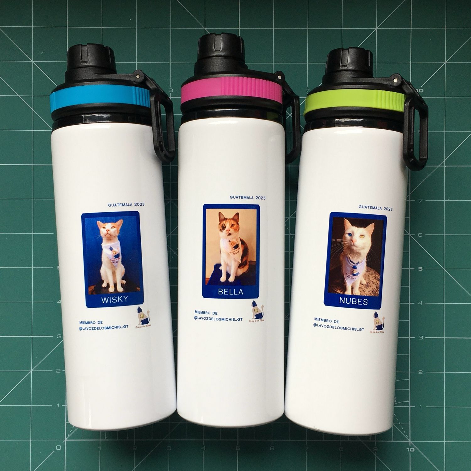 Botella PERSONALIZADA 750ml.