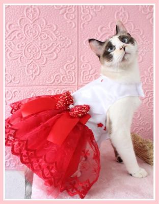 Vestido “Fresas con crema”