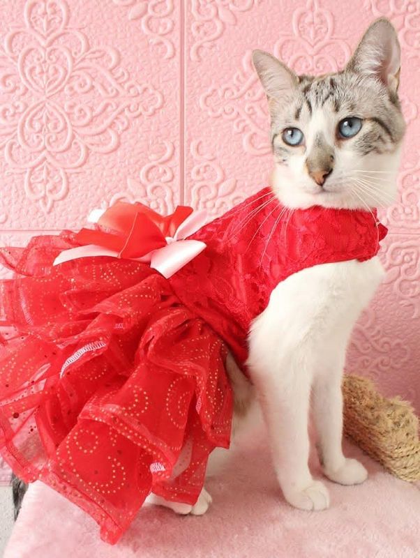 Vestido “Dolce Amore”