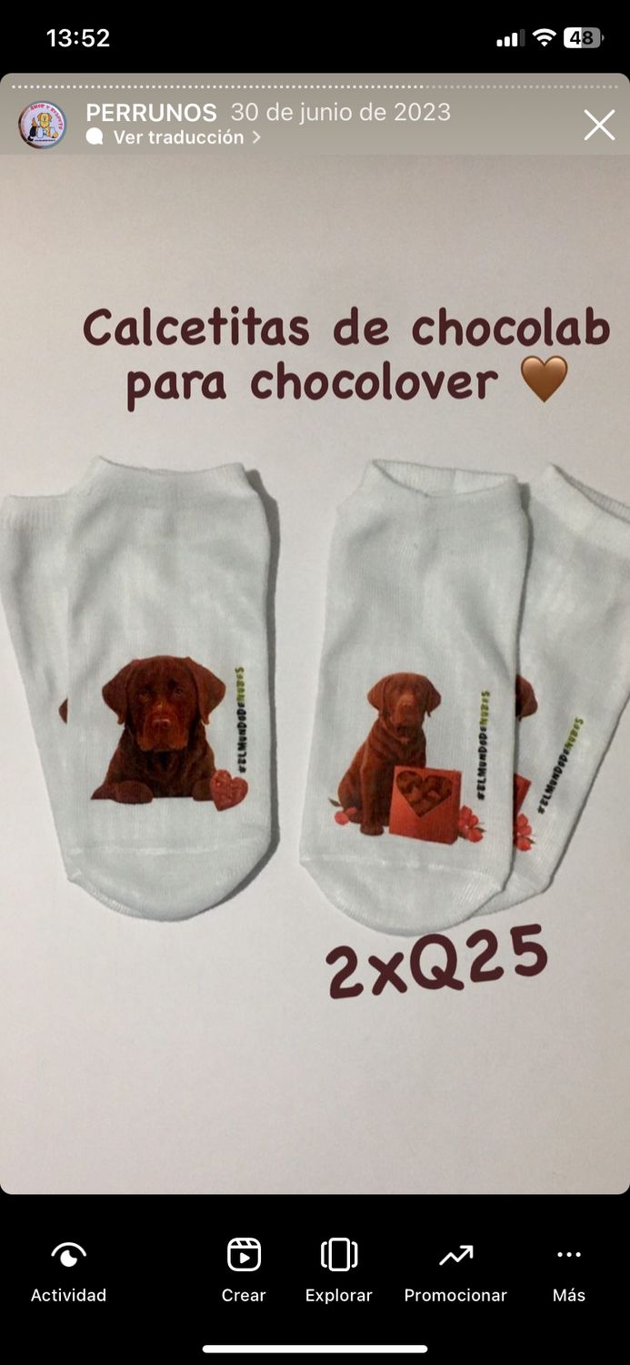 +Calcetas diseños LABRADOR