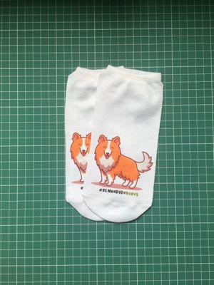 Calcetas diseños COLLIE