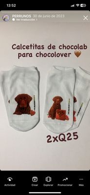 +Calcetas diseños LABRADOR