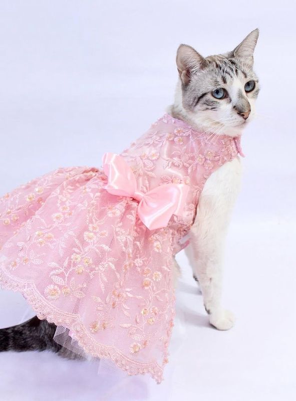 Vestido “Cherry Blossom”