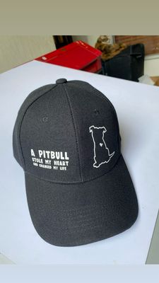 Gorras diseños PITBULL