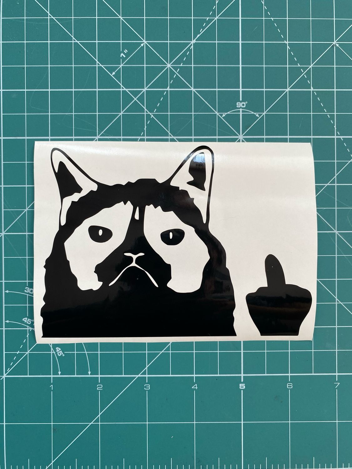 Stickers para carro “Grumpy Cat”