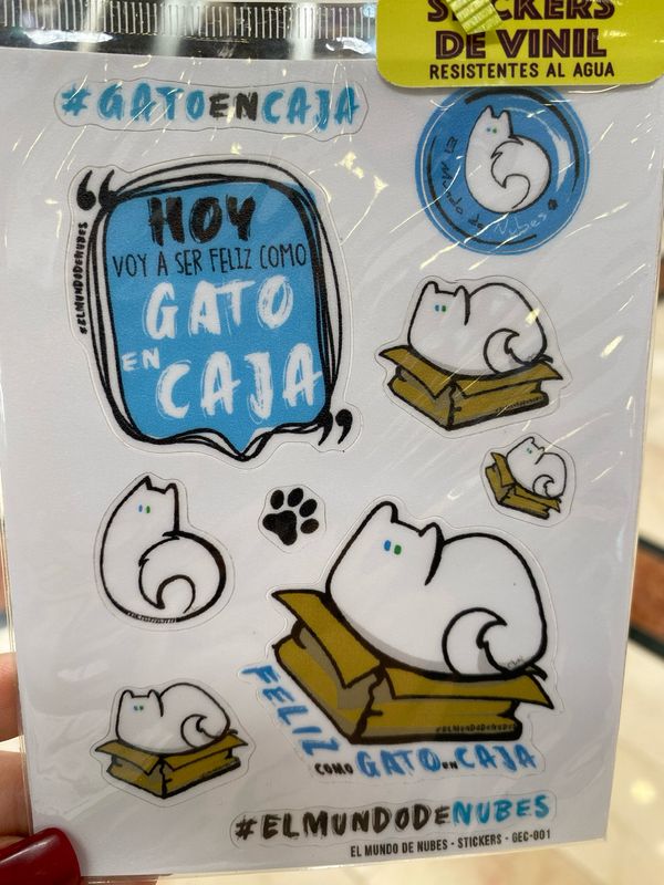 Stickers cartoncito “Gato en Caja”