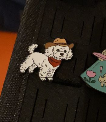 Pin “Poodle Vaquero”