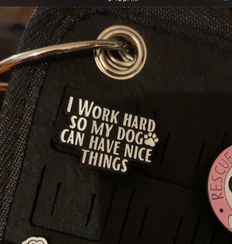 Pin “I work hard so my dog can have nice things”