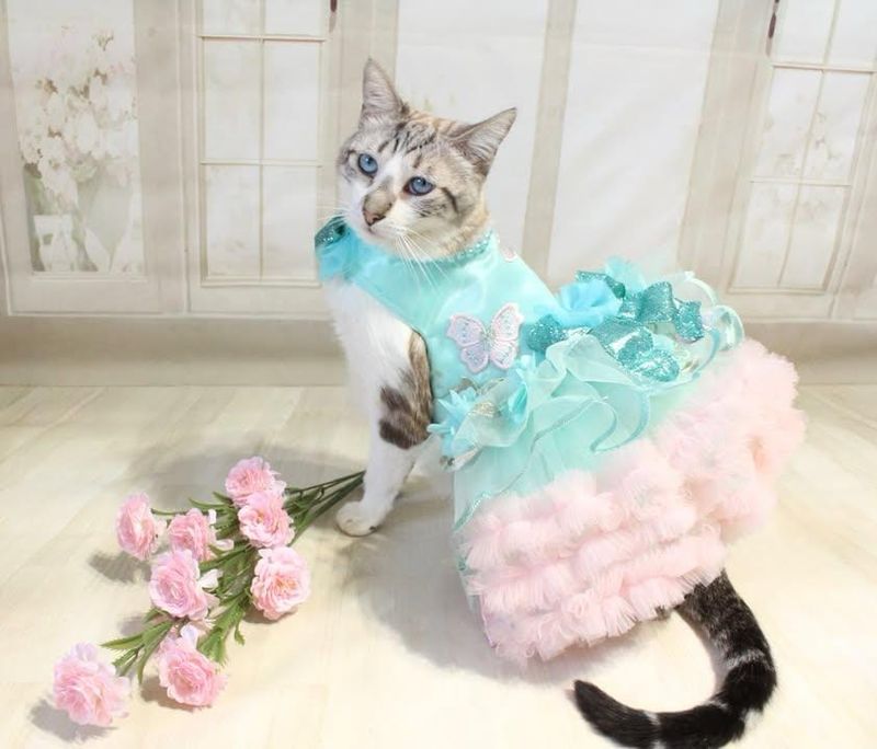 Vestido “Reina de las Mariposas”