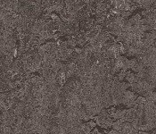 Linoleum