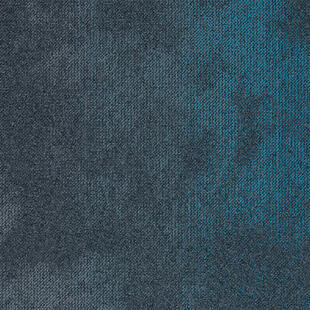 14.Dalle moquette