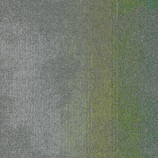 13.Dalle de moquette