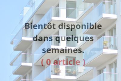 IMMOBILIER : Location et achat