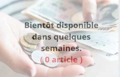 INVESTISSEMENTS OU PRÊTS AUX ENTREPRISES/STARTUPS