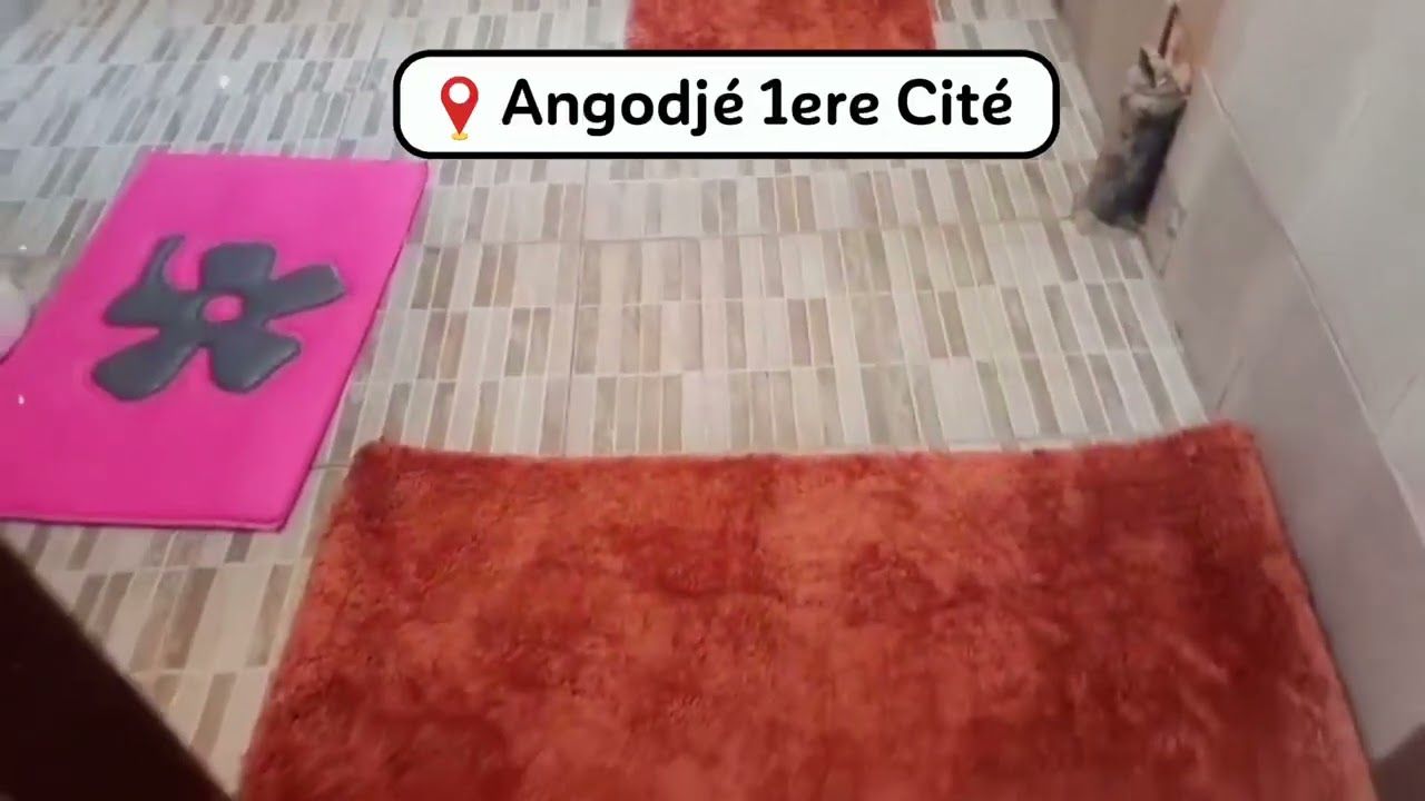 APPARTEMENT  MEUBLEE 1 CHAMBRE