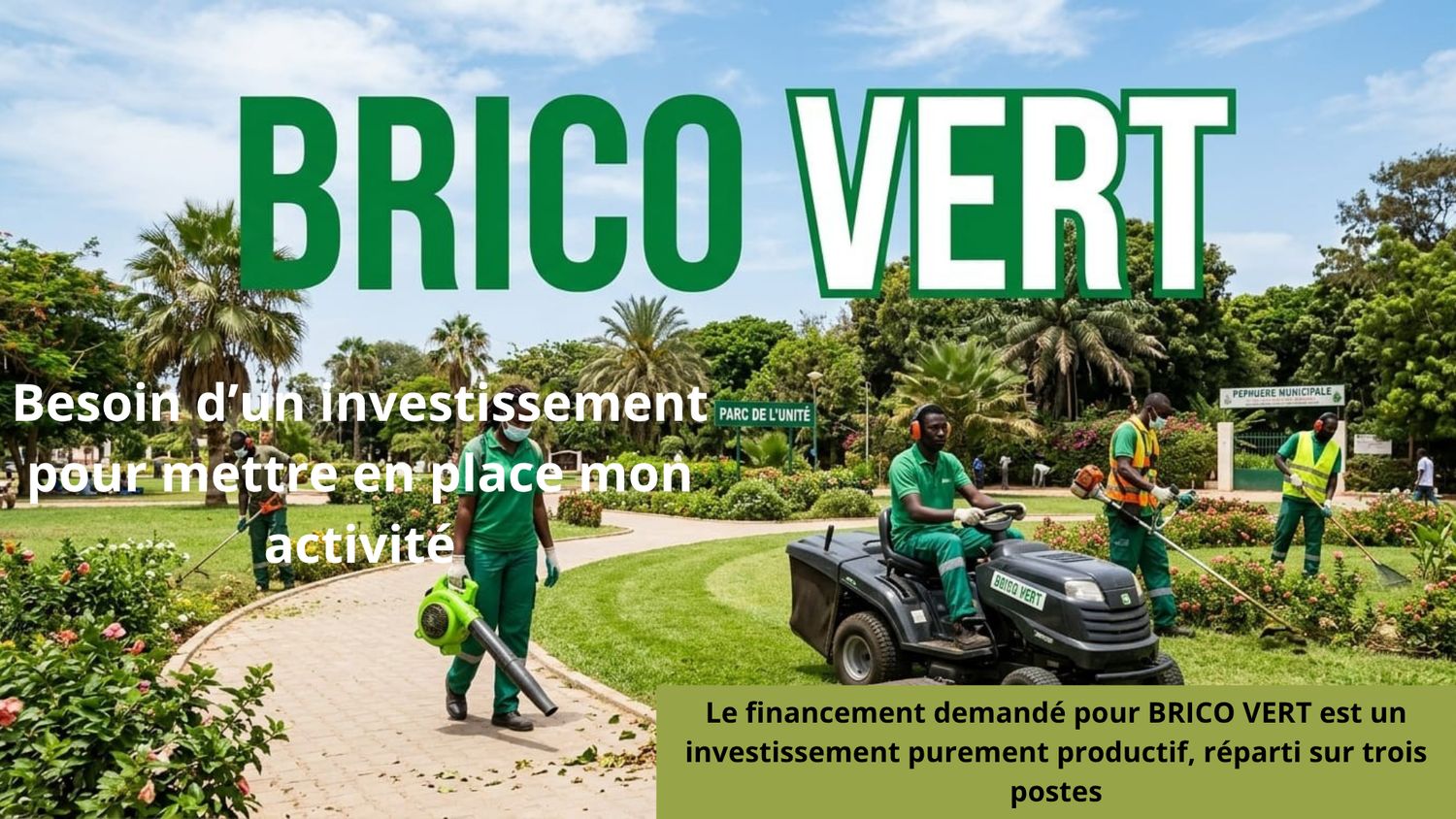 BRICO VERT Entreprise
