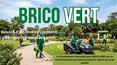 BRICO VERT Entreprise