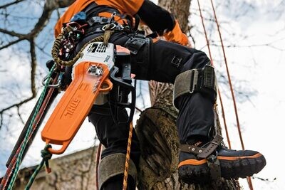 Arborist Supplies